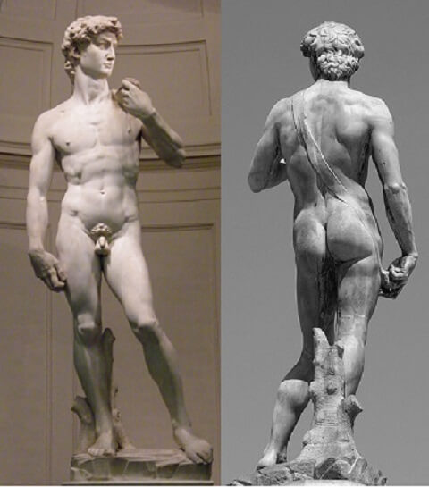 David Michelangelo de face et de dos