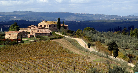 Chianti
