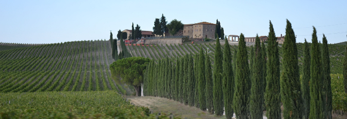 Florence Toscane novembre