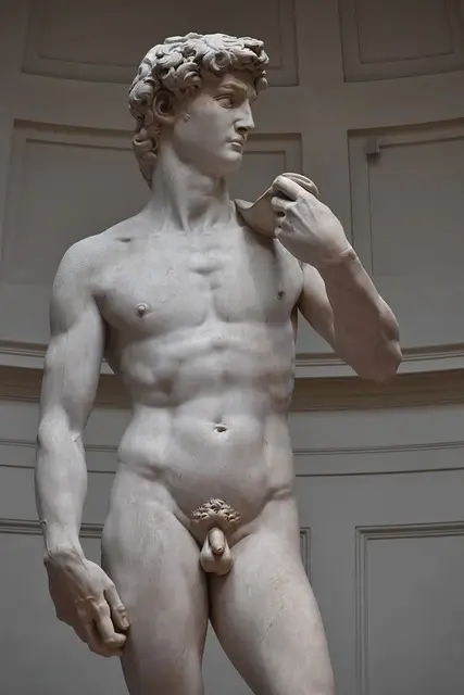 David de Michelangelo