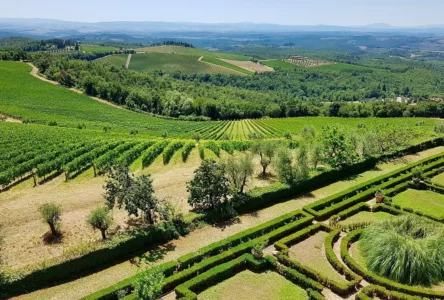 Le vignoble de Toscane