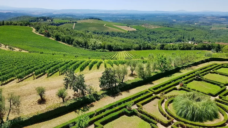 Paysage Vigne Toscane