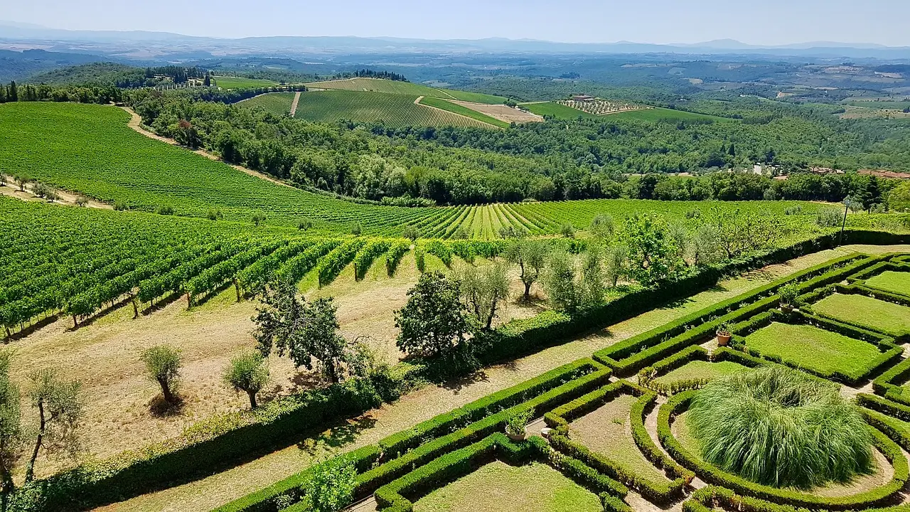 Paysage Vigne Toscane